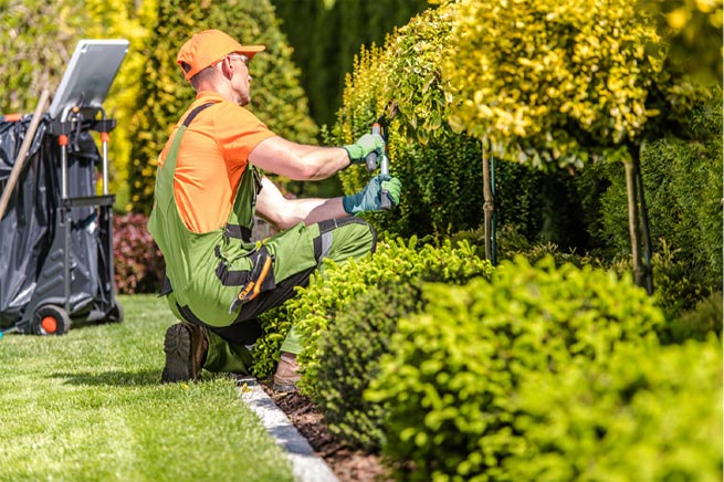 landscaping-insurance